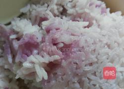 紫菜卷（简易版）的做法图解3