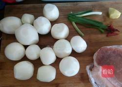 萝卜烧肉的做法图解1