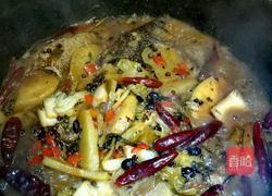 干烧鲫鱼的做法图解4