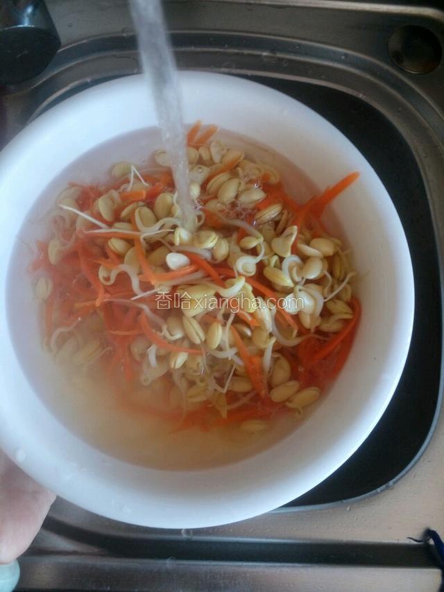 焯好的豆芽和胡萝卜丝过凉水并控干水份。