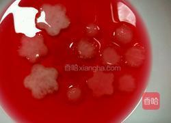 水晶萝卜葡萄的做法图解5