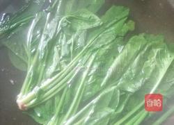 口蘑扒菠菜的做法图解4