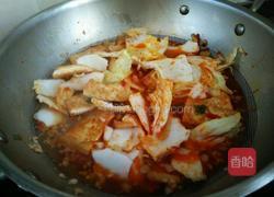 肉末大白菜炖豆腐的做法图解17