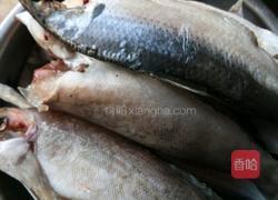 铁锅炖鱼贴饼子的做法图解1