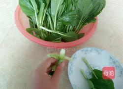 白勺青菜的做法图解2