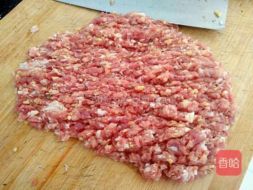肉肉剁成肉馅,我用的这个肥肉比较少,大家可以选择3肥7瘦的肉馅也可以