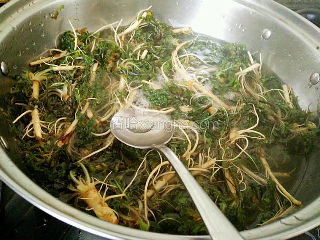 趁醒面的时间，把荠菜洗干净后放入开水中焯烫，5分钟左右。因为我的荠菜比较老，所以焯的时间长一点，如果很嫩的焯两分钟就可以