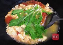 西红柿蛋汤的做法图解5