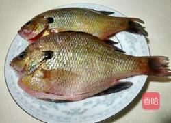 豉汁太阳鱼的做法图解1