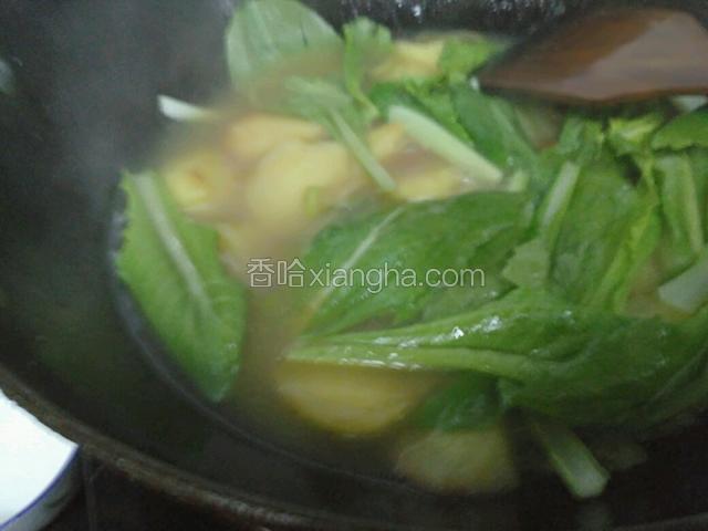 加小白菜。