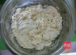 生煎饺子的做法图解1