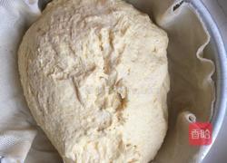 红枣发糕的做法图解6