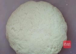 韭菜鸡蛋水饺的做法图解6