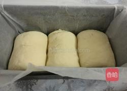 原味土司的做法图解4