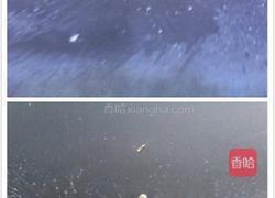 色彩炒饭的做法图解4