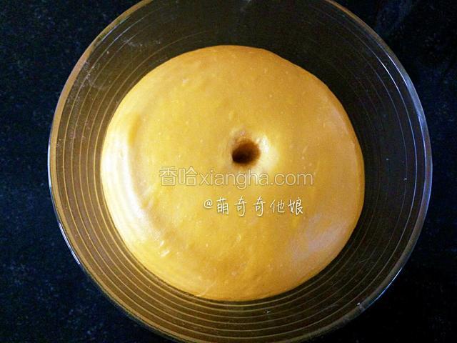发酵至2倍大，手指沾干粉或水探入不回缩不塌陷即发酵完成。