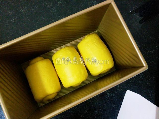 有间隔等距离排入450g土司模中。