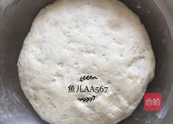 葱香花卷的做法图解4