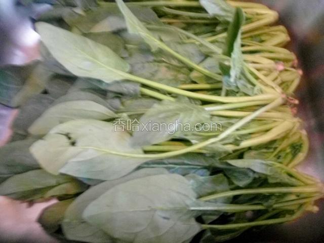 菠菜一大捆根掐掉洗净控水