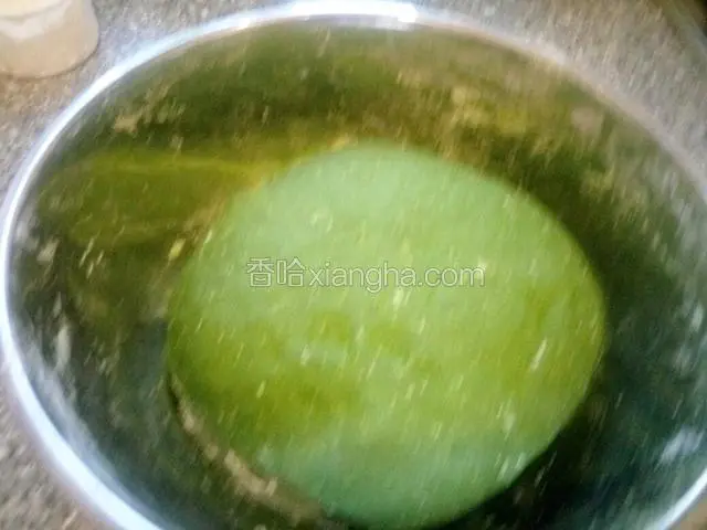 和好的面团揉出光泽发酵