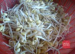 豆芽炒粉条的做法图解1
