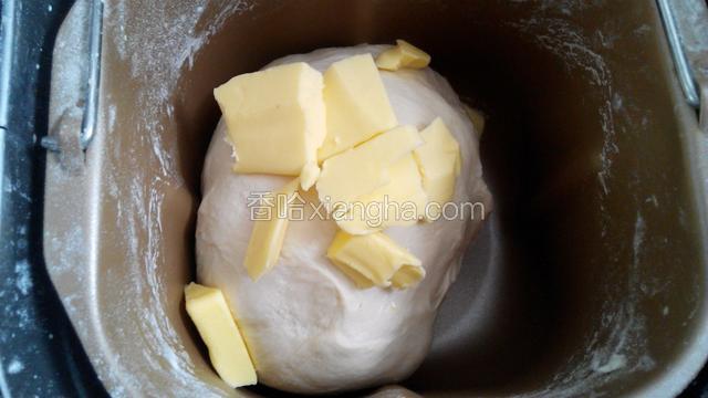 加入软化的黄油，再启动和面程序半小时