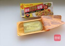 咖喱番茄焖菜花的做法图解4