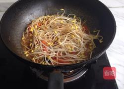 番茄炒豆芽的做法图解3
