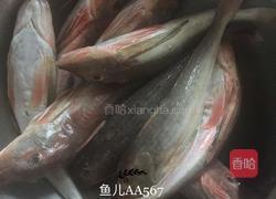 红烧红娘鱼的做法图解1