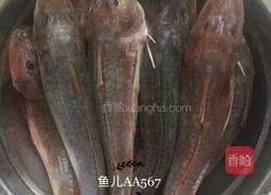 红烧红娘鱼的做法图解2