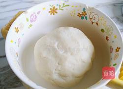 蘑菇包的做法图解1