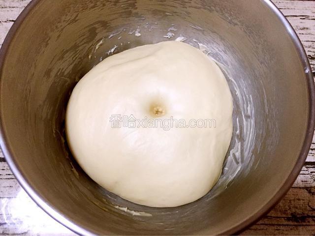 手指沾面粉戳一小洞，不反弹不回缩即发酵成功