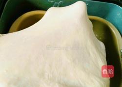 汤种椰蓉面包的做法图解5