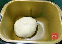 汤种椰蓉面包的做法图解6