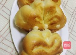 杏仁椰蓉蝴蝶包的做法图解23