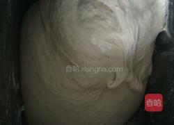 面包机版白馒头的做法图解2
