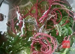 凉拌海藻的做法图解4