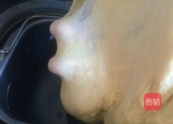 雅克葡萄卷面包的做法图解4