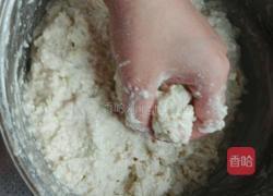 炸萝卜豆腐肉丸的做法图解9