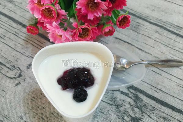自制蓝莓酸奶