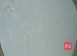 萝卜丝粉条卷的做法图解11