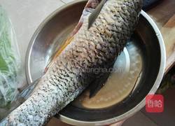 红烧鲩鱼的做法图解1