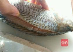 粤式清蒸鱼的做法图解3