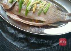 粤式清蒸鱼的做法图解7