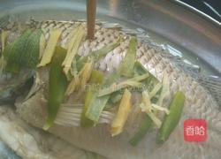 粤式清蒸鱼的做法图解8