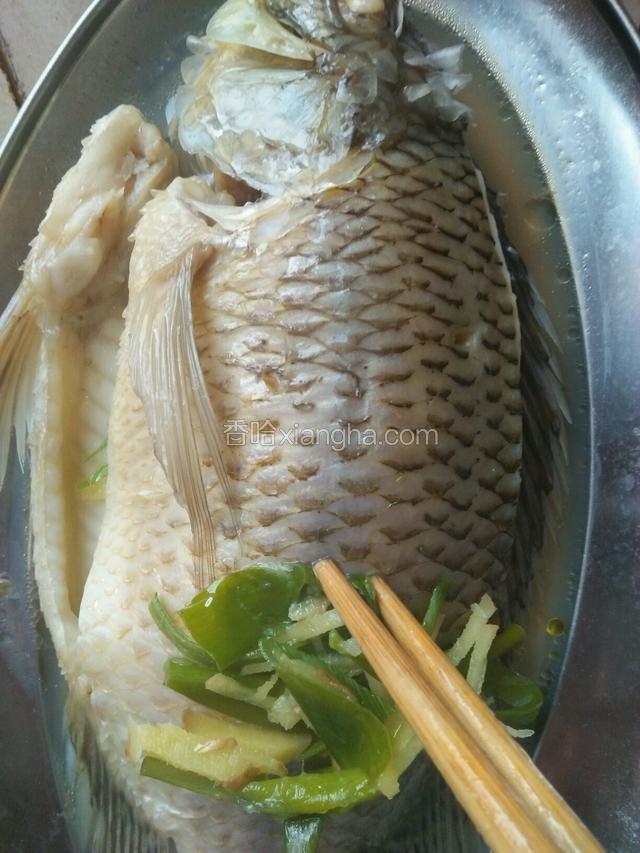 蒸好鱼把盘子里的水倒掉，上面的葱姜也不要。