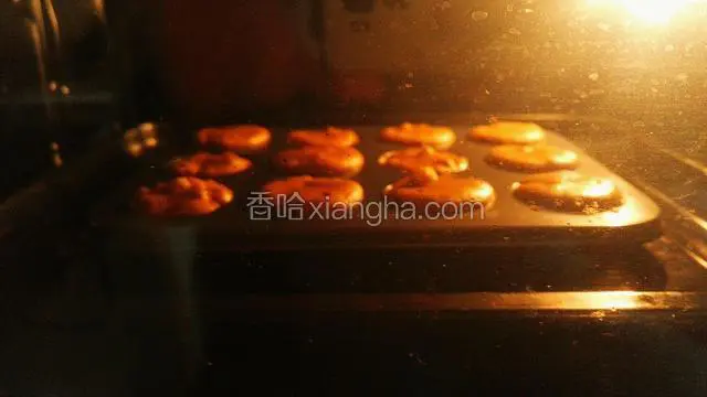 装入裱花袋，挤入12连模中，烤箱180℃，烘烤20-25分钟～
