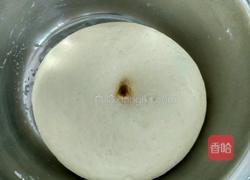 白菜红萝卜肉馅儿包子的做法图解8