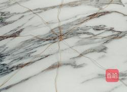 南瓜包的做法图解5