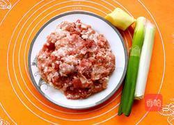 韭菜鲜肉馅饺子的做法图解3